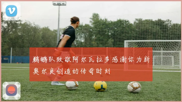 鹈鹕队致敬阿尔瓦拉多感谢你为新奥尔良创造的传奇时刻